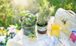 How to Plan Your Herb Garden
