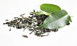 Brewing and Drinking Green Tea