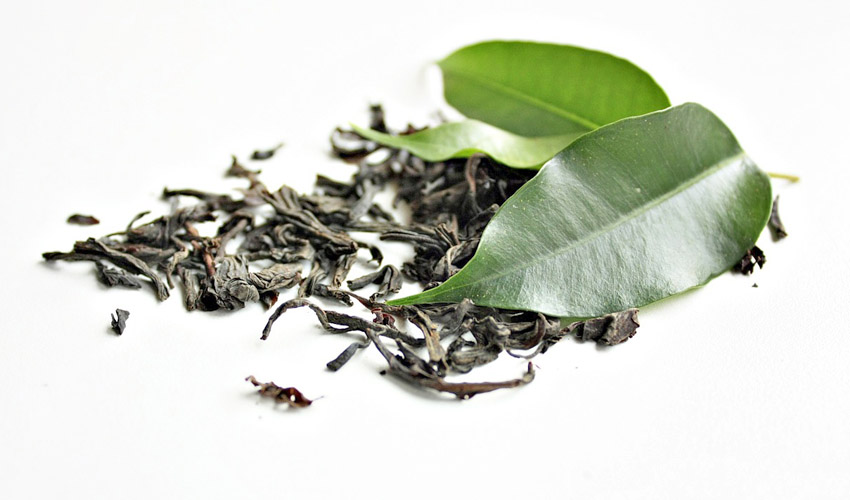Brewing and Drinking Green Tea