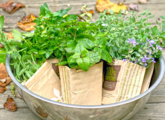 Herb Gardening