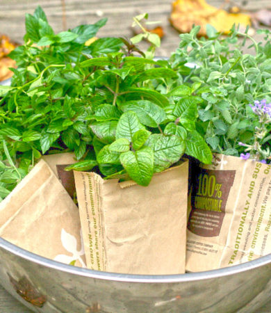 Herb Gardening