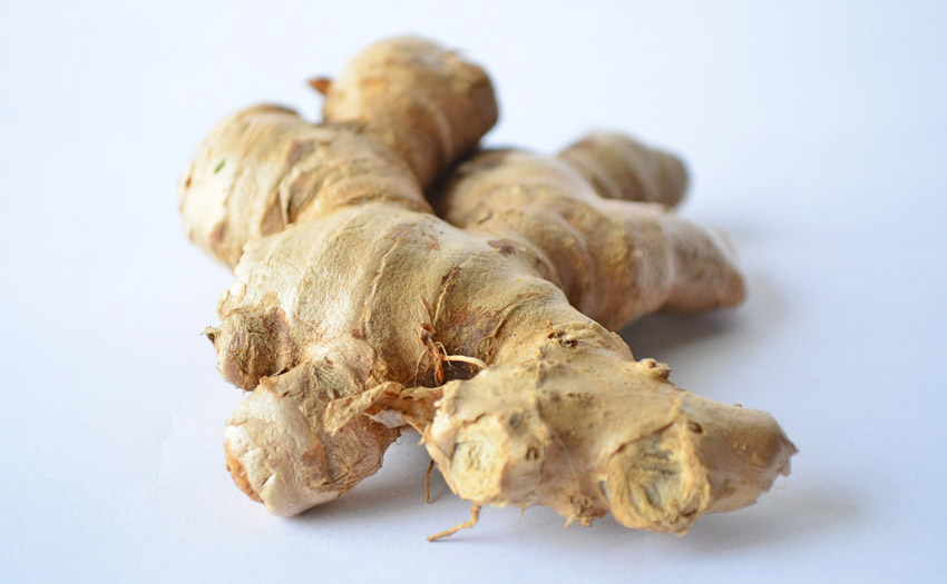 Herbal Remedies for Arthritis, Fibromyalgia and Muscular Aches