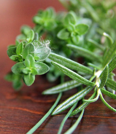 Rosemary