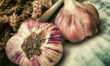 Cloves