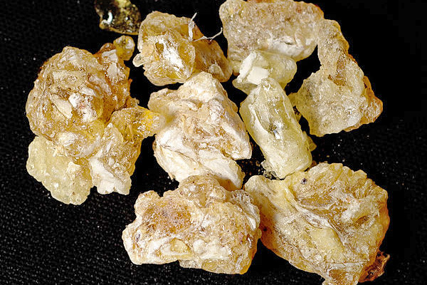 Frankincense