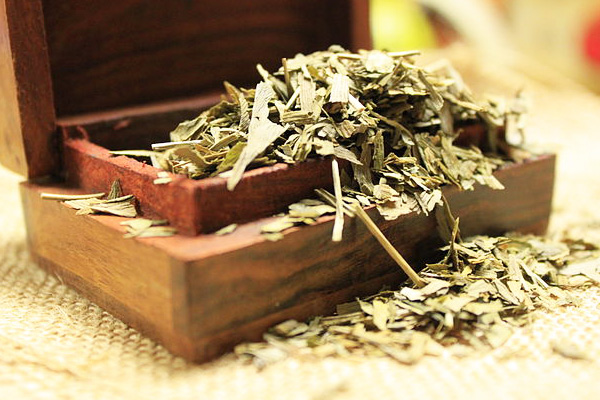 Ginkgo Biloba