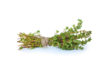 Thyme