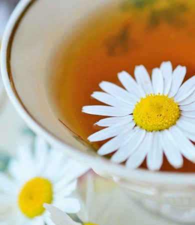 Chamomile
