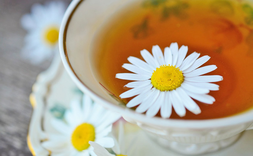 Chamomile