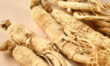 Ginseng