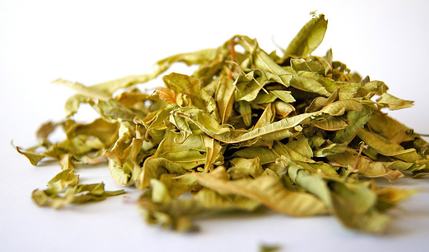 Balsam of Tolu