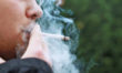 Quit Smoking: How To Manage Cravings With Herbs