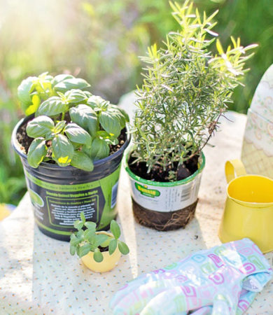 How to Plan Your Herb Garden