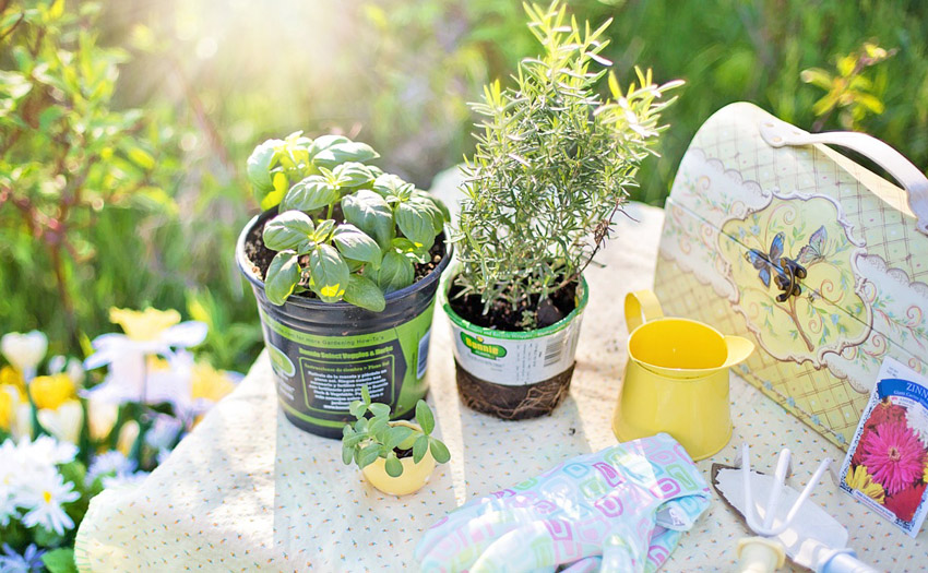 How to Plan Your Herb Garden